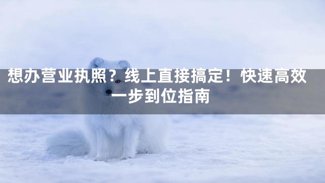 想办营业执照？线上直接搞定！快速高效一步到位指南
