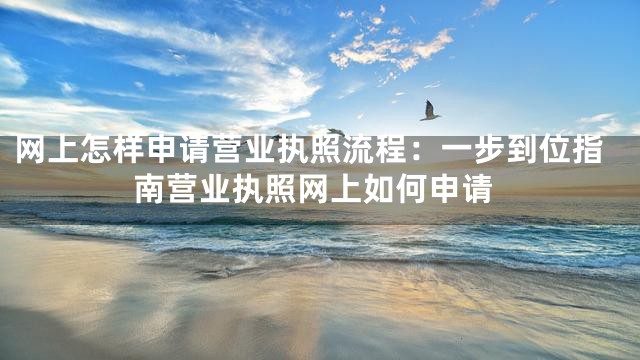网上怎样申请营业执照流程：一步到位指南营业执照网上如何申请