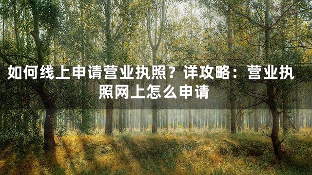 如何线上申请营业执照？详攻略：营业执照网上怎么申请