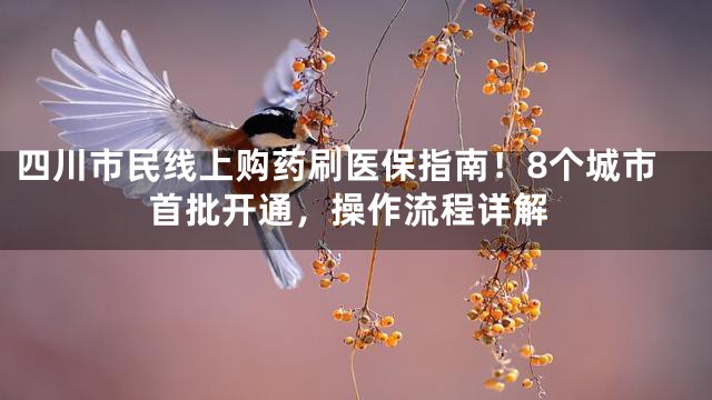 四川市民线上购药刷医保指南！8个城市首批开通，操作流程详解