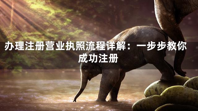 办理注册营业执照流程详解：一步步教你成功注册