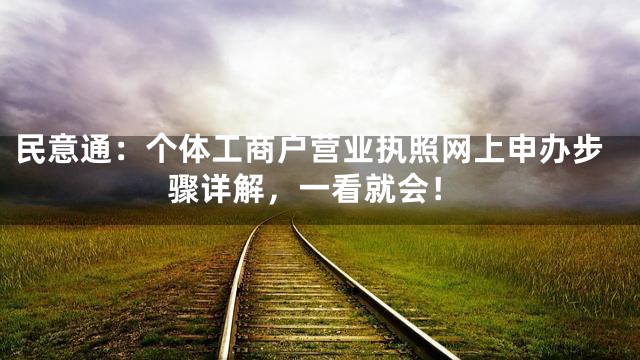 民意通：个体工商户营业执照网上申办步骤详解，一看就会！