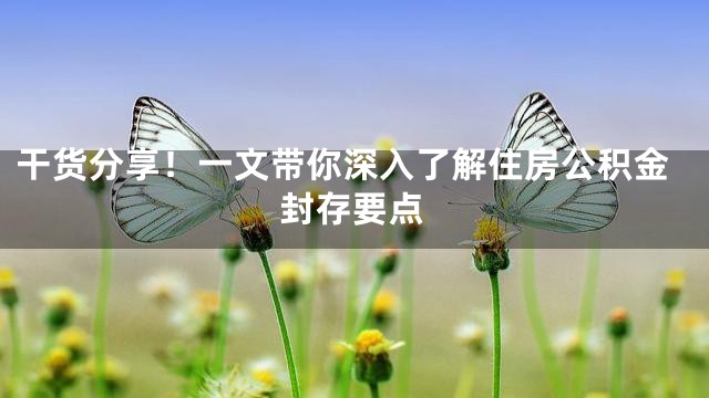 干货分享！一文带你深入了解住房公积金封存要点