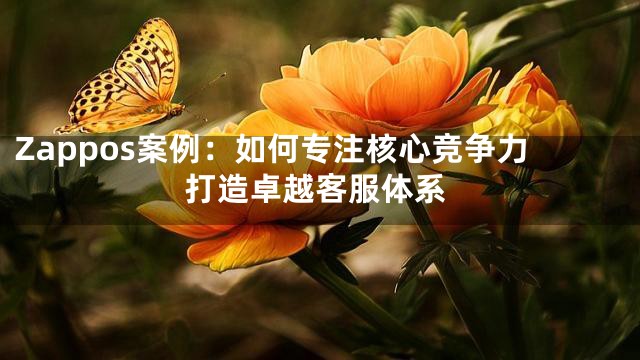 Zappos案例：如何专注核心竞争力打造卓越客服体系