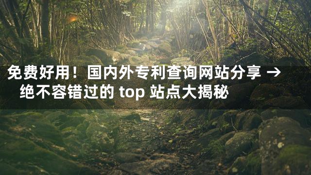 免费好用！国内外专利查询网站分享 → 绝不容错过的 top 站点大揭秘
