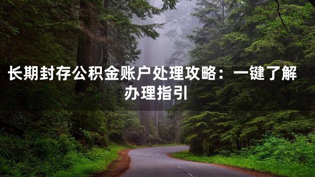 长期封存公积金账户处理攻略：一键了解办理指引
