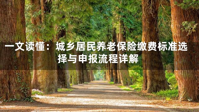 一文读懂：城乡居民养老保险缴费标准选择与申报流程详解