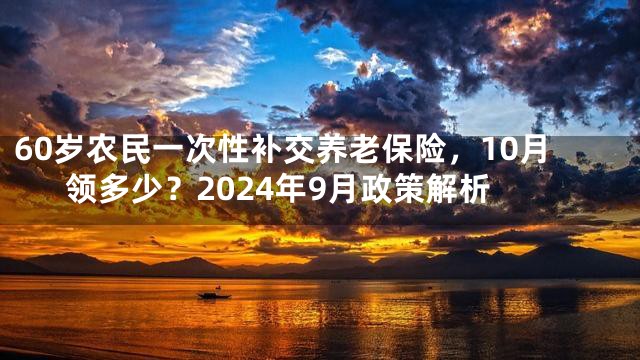 60岁农民一次性补交养老保险，10月领多少？2024年9月政策解析