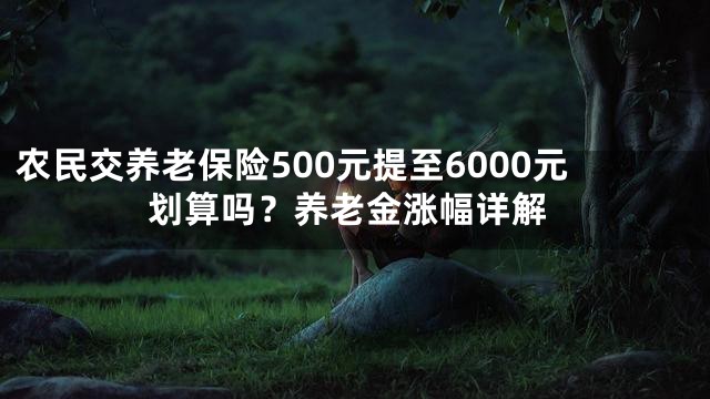 农民交养老保险500元提至6000元划算吗？养老金涨幅详解