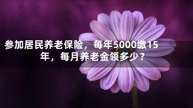 参加居民养老保险，每年5000缴15年，每月养老金领多少？