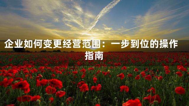 企业如何变更经营范围：一步到位的操作指南