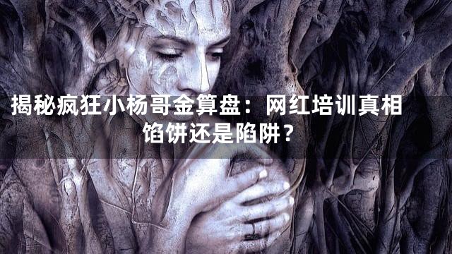 揭秘疯狂小杨哥金算盘：网红培训真相 馅饼还是陷阱？