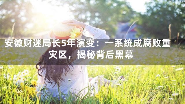 安徽财迷局长5年演变：一系统成腐败重灾区，揭秘背后黑幕