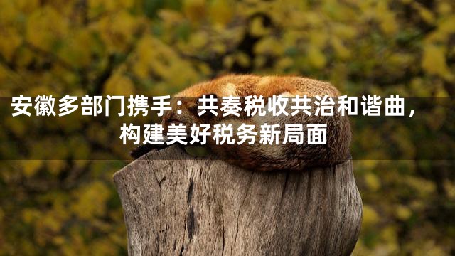 安徽多部门携手：共奏税收共治和谐曲，构建美好税务新局面