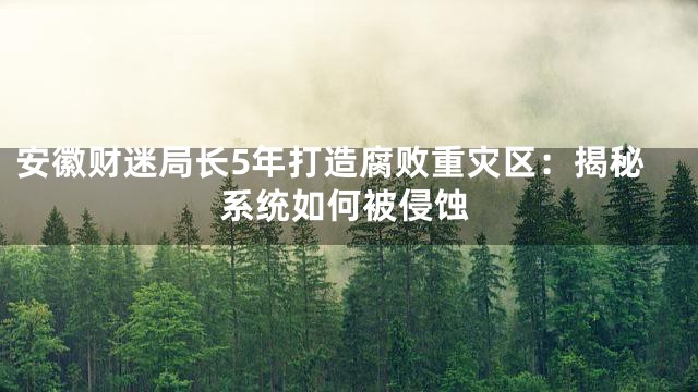 安徽财迷局长5年打造腐败重灾区：揭秘系统如何被侵蚀