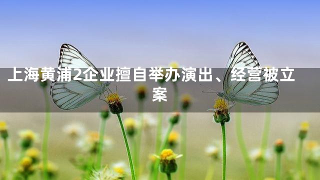 上海黄浦2企业擅自举办演出、经营被立案