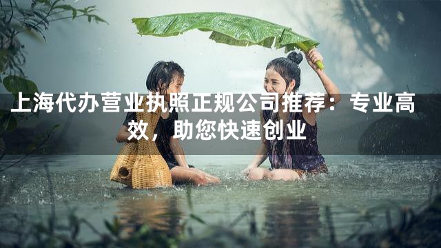 上海代办营业执照正规公司推荐：专业高效，助您快速创业