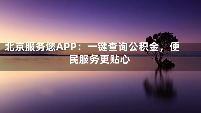 北京服务您APP：一键查询公积金，便民服务更贴心