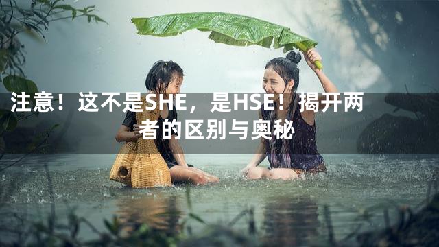 注意！这不是SHE，是HSE！揭开两者的区别与奥秘