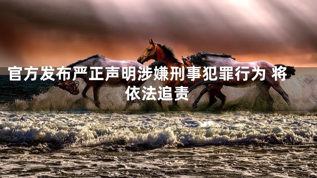 官方发布严正声明涉嫌刑事犯罪行为 将依法追责