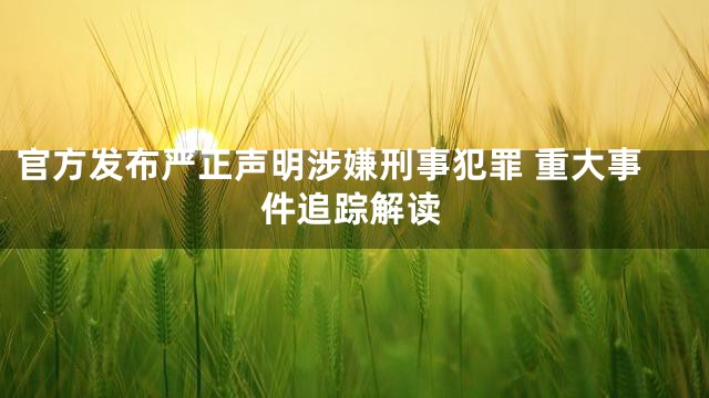 官方发布严正声明涉嫌刑事犯罪 重大事件追踪解读