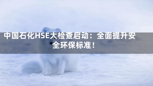 中国石化HSE大检查启动：全面提升安全环保标准！