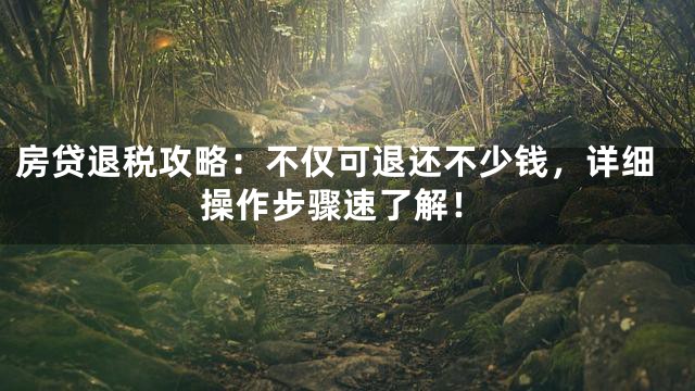 房贷退税攻略：不仅可退还不少钱，详细操作步骤速了解！