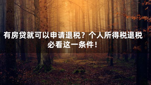 有房贷就可以申请退税？个人所得税退税必看这一条件！