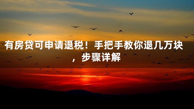 有房贷可申请退税！手把手教你退几万块，步骤详解