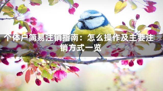 个体户简易注销指南：怎么操作及主要注销方式一览