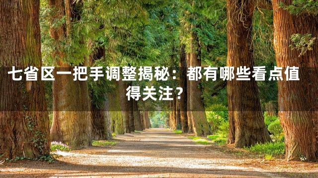 七省区一把手调整揭秘：都有哪些看点值得关注？