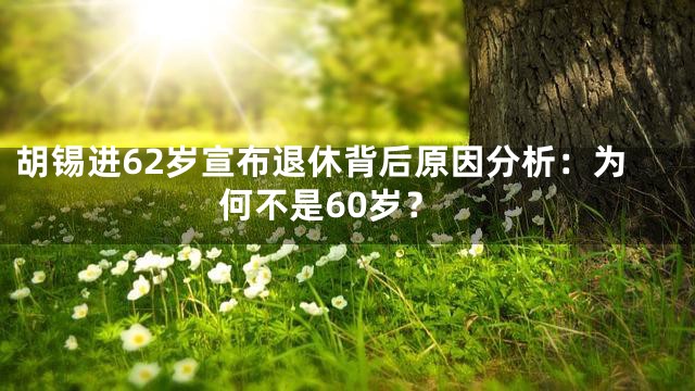 胡锡进62岁宣布退休背后原因分析：为何不是60岁？