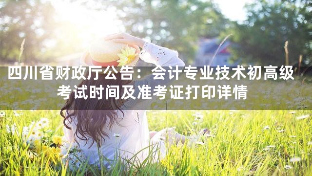 四川省财政厅公告：会计专业技术初高级考试时间及准考证打印详情