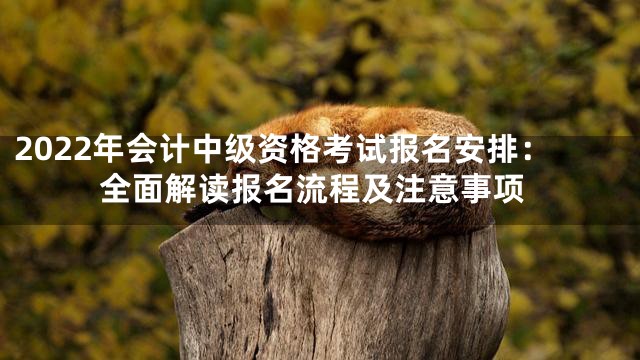 2022年会计中级资格考试报名安排：全面解读报名流程及注意事项