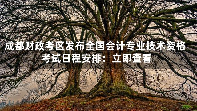 成都财政考区发布全国会计专业技术资格考试日程安排：立即查看