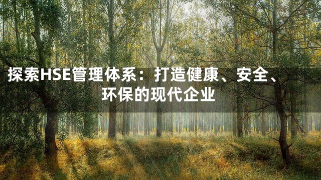 探索HSE管理体系：打造健康、安全、环保的现代企业