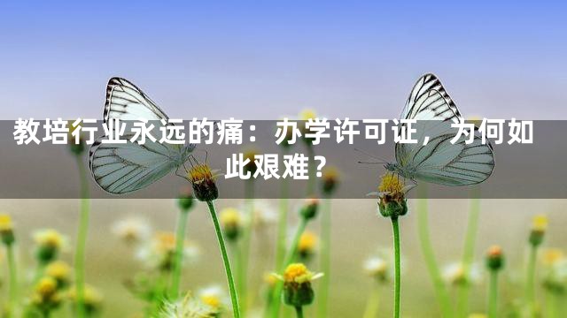 教培行业永远的痛：办学许可证，为何如此艰难？