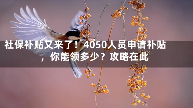 社保补贴又来了！4050人员申请补贴，你能领多少？攻略在此