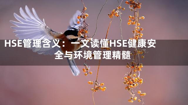 HSE管理含义：一文读懂HSE健康安全与环境管理精髓