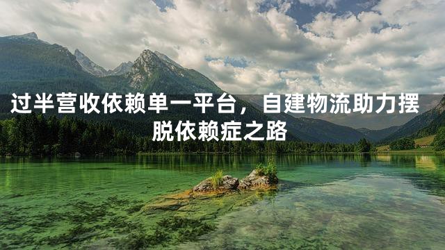 过半营收依赖单一平台，自建物流助力摆脱依赖症之路