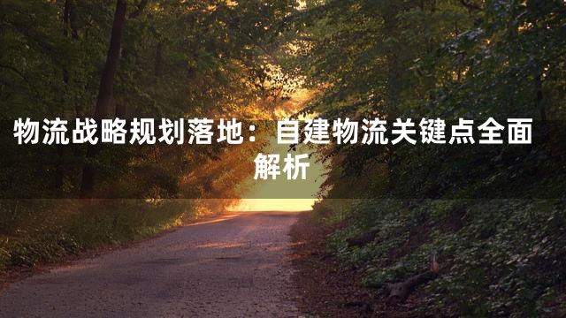 物流战略规划落地：自建物流关键点全面解析
