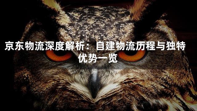 京东物流深度解析：自建物流历程与独特优势一览