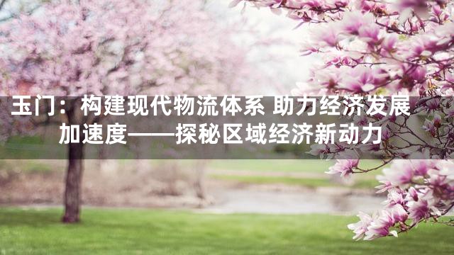 玉门：构建现代物流体系 助力经济发展加速度——探秘区域经济新动力