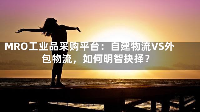 MRO工业品采购平台：自建物流VS外包物流，如何明智抉择？