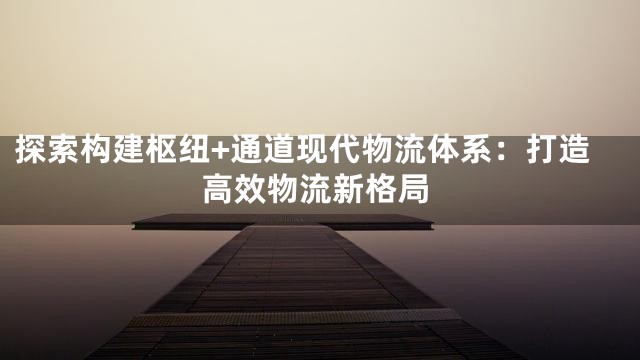 探索构建枢纽+通道现代物流体系：打造高效物流新格局