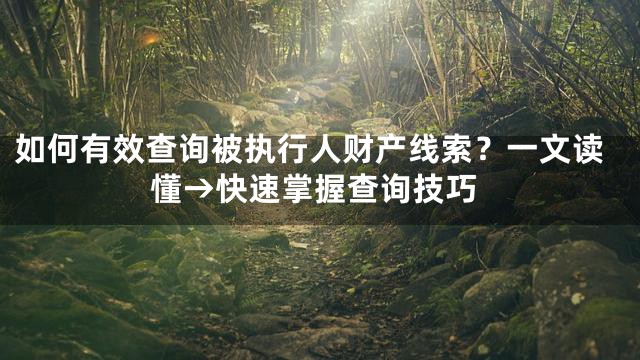 如何有效查询被执行人财产线索？一文读懂→快速掌握查询技巧