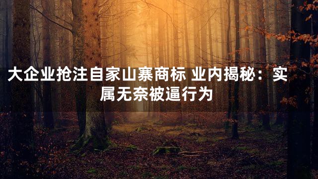 大企业抢注自家山寨商标 业内揭秘：实属无奈被逼行为