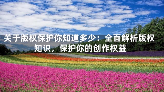 关于版权保护你知道多少：全面解析版权知识，保护你的创作权益
