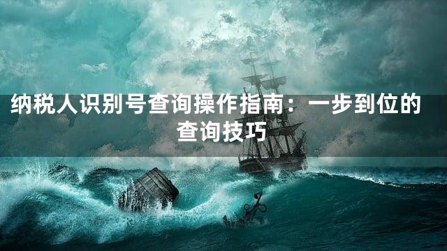 纳税人识别号查询操作指南：一步到位的查询技巧