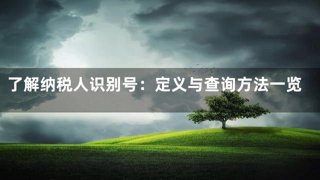 了解纳税人识别号：定义与查询方法一览